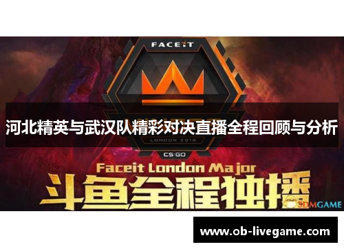 河北精英与武汉队精彩对决直播全程回顾与分析